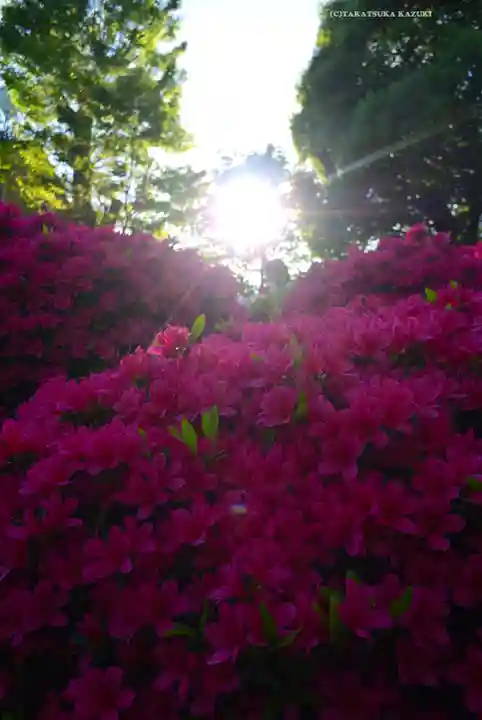 根津神社(東京都)