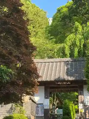 大渕寺の{uncategorized: "未分類", other: "その他", undefined: "問題あり", building: "その他建物", grave: "お墓", sacred_gate: "鳥居", guardian: "狛犬", statue: "像", buddha: "仏像", history: "歴史", nature: "自然", garden: "庭園", animal: "動物", pagoda: "塔", temizu: "手水舎", mountain_gate: "山門・神門", sanctuary: "本殿・本堂", subordinate: "末社・摂社", art: "芸術", scenery: "景色", jizo: "地蔵", ema: "絵馬", goshuin: "御朱印", omikuji: "おみくじ", items: "授与品その他", amulet: "お守り", goshuincho: "御朱印帳", eats: "食事", festival: "お祭り", votive_dance: "神楽", shichigosan: "七五三参", wedding: "結婚式", experience: "体験その他", initially: "初詣", around: "周辺", anti_infection: "感染症対策"}