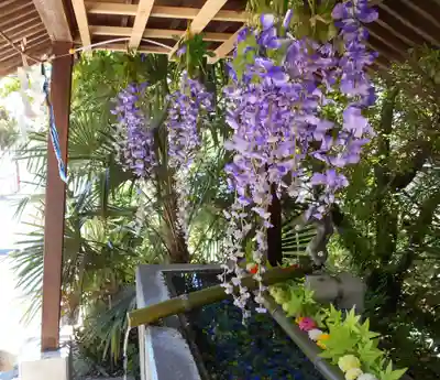 四倉諏訪神社(福島県)