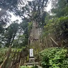 玉置神社(奈良県)