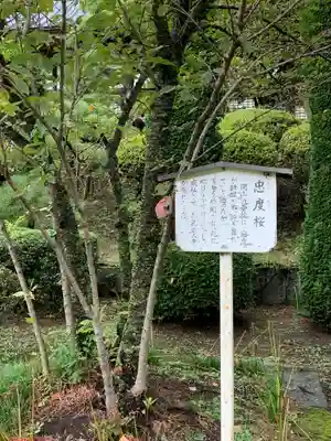 雙林寺(群馬県)