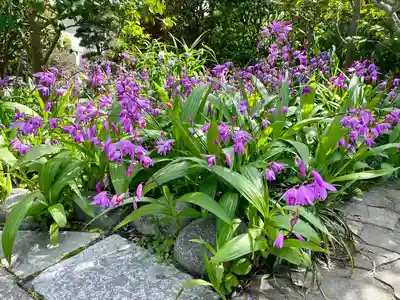 大巧寺(神奈川県)