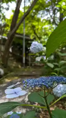 十輪寺(京都府)