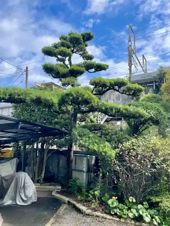 新光明寺(神奈川県)