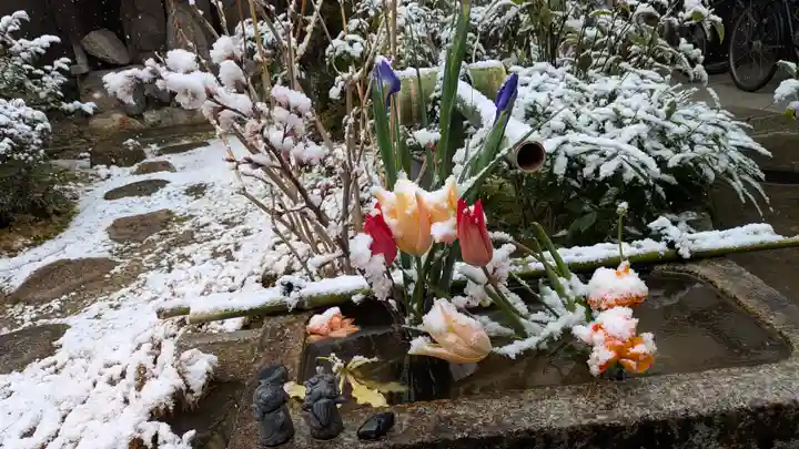 宝蔵寺(京都府)