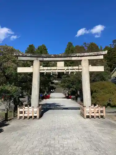 仙台東照宮の鳥居