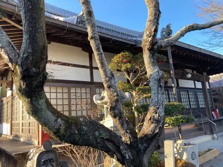 薬常寺の本殿・本堂