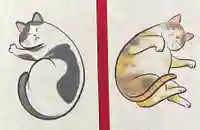 賀茂別雷神社(栃木県)