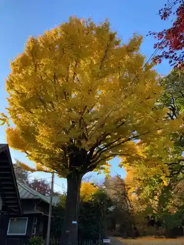 最勝寺教学院(東京都)