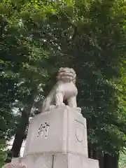 諏訪神社の狛犬