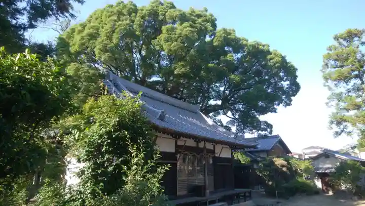 畑山神社(大阪府)