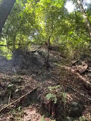 武蔵二宮 金鑚神社(埼玉県)