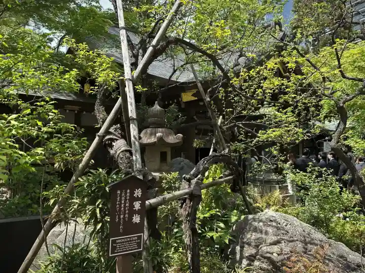 愛宕神社(東京都)