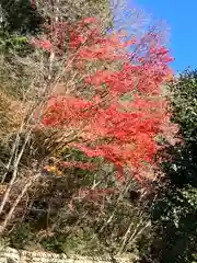 鹿苑寺(岐阜県)