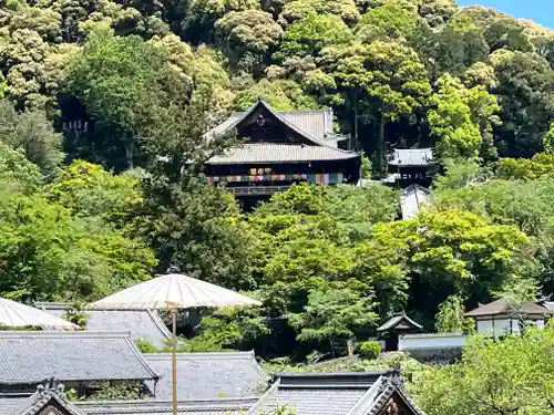 長谷寺(奈良県)