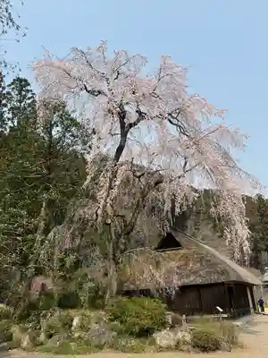 高麗神社(埼玉県)