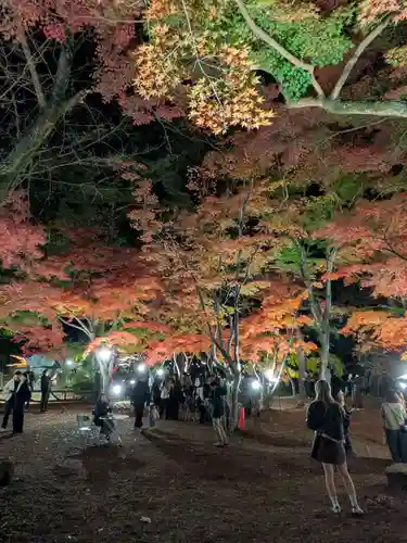 宝登山神社(埼玉県)