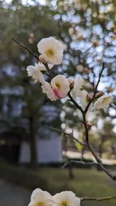 智積院(京都府)