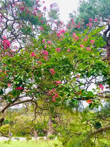 平等院(京都府)