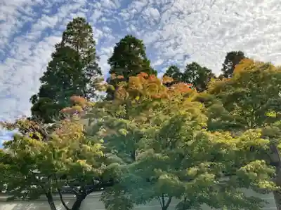 酬恩庵一休寺(京都府)