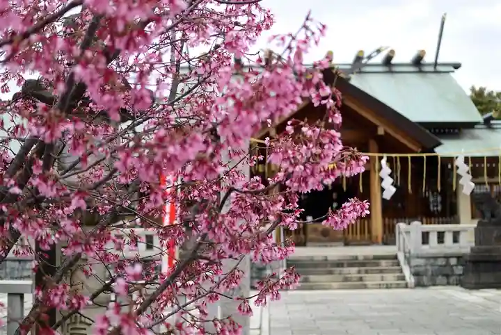 石濱神社の自然
