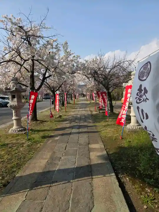 大聖寺の{uncategorized: "未分類", other: "その他", undefined: "問題あり", building: "その他建物", grave: "お墓", sacred_gate: "鳥居", guardian: "狛犬", statue: "像", buddha: "仏像", history: "歴史", nature: "自然", garden: "庭園", animal: "動物", pagoda: "塔", temizu: "手水舎", mountain_gate: "山門・神門", sanctuary: "本殿・本堂", subordinate: "末社・摂社", art: "芸術", scenery: "景色", jizo: "地蔵", ema: "絵馬", goshuin: "御朱印", omikuji: "おみくじ", items: "授与品その他", amulet: "お守り", goshuincho: "御朱印帳", eats: "食事", festival: "お祭り", votive_dance: "神楽", shichigosan: "七五三参", wedding: "結婚式", experience: "体験その他", initially: "初詣", around: "周辺", anti_infection: "感染症対策"}