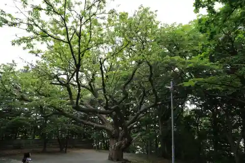 相馬神社の自然