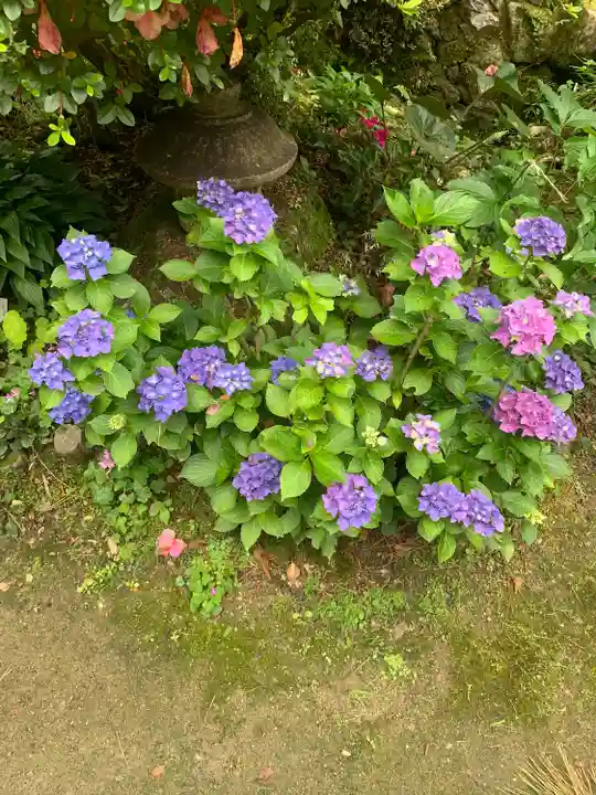 高原寺(兵庫県)