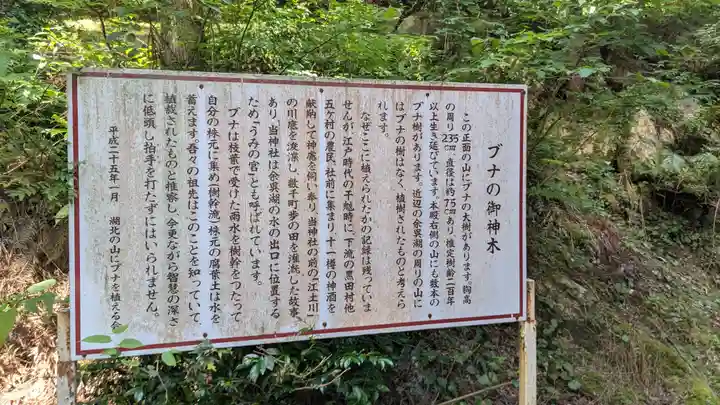 乎彌神社(滋賀県)