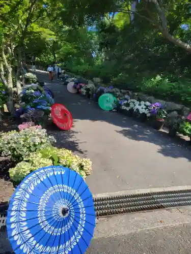 柳谷観音　楊谷寺(京都府)