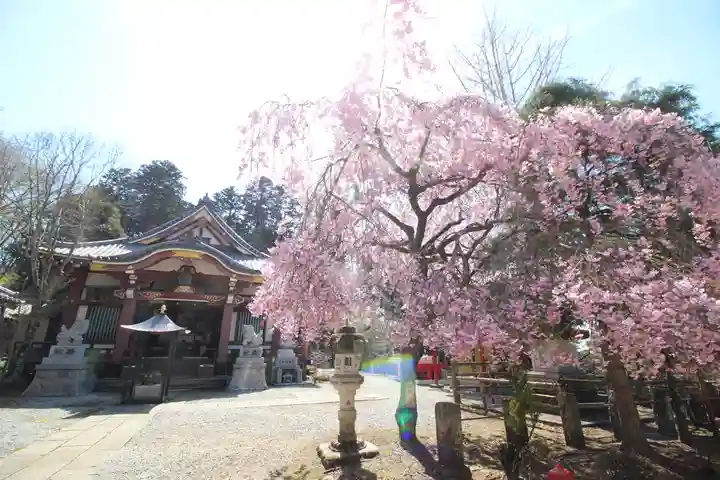 天龍寺(埼玉県)