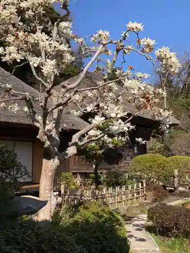 明王院(神奈川県)