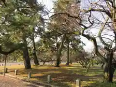 白雲神社の自然