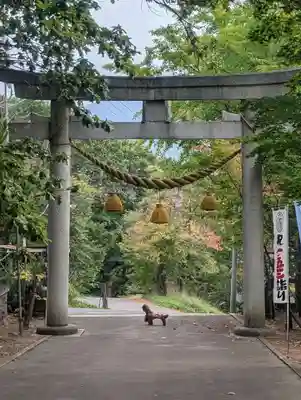 小樽稲荷神社(北海道)