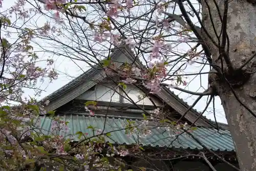 法界寺のその他建物