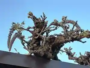西方山極楽寺(岐阜県)(2022年04月09日(土) 21時10分00秒投稿)