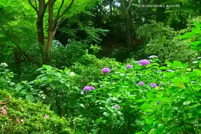浄智寺(神奈川県)