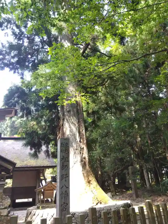 祖師野八幡宮(岐阜県)