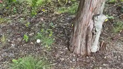 川村稲荷神社(北海道)