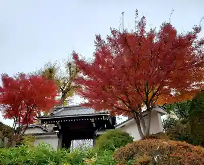神足寺の山門・神門
