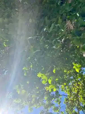 龍宮神社(北海道)
