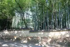 禅昌寺の建物その他