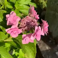 豊景神社の自然