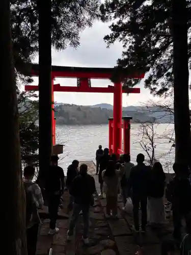 箱根神社の鳥居
