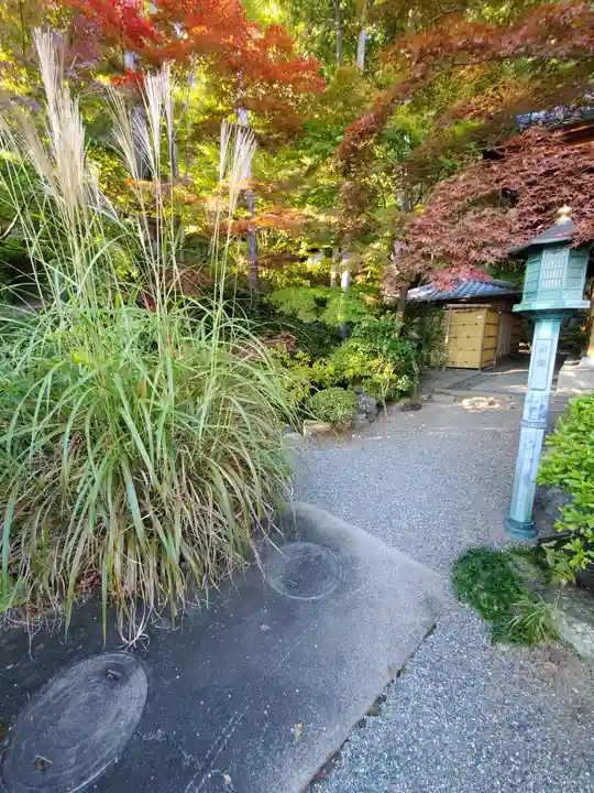 崇禅寺(群馬県)