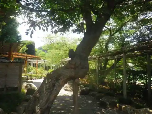 鶴岡八幡宮の庭園