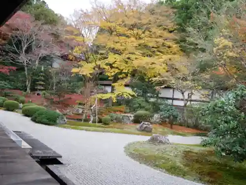 御寺 泉涌寺の庭園