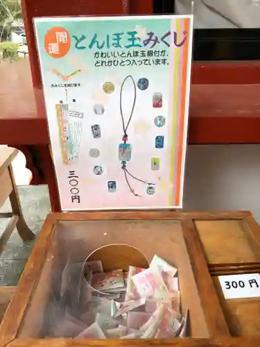 静岡浅間神社のおみくじ