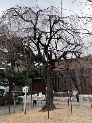 大報恩寺（千本釈迦堂）(京都府)