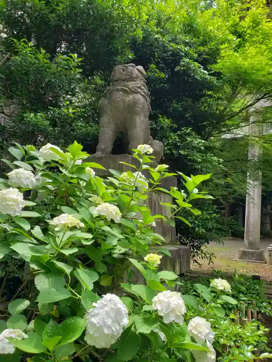 赤坂氷川神社(東京都)